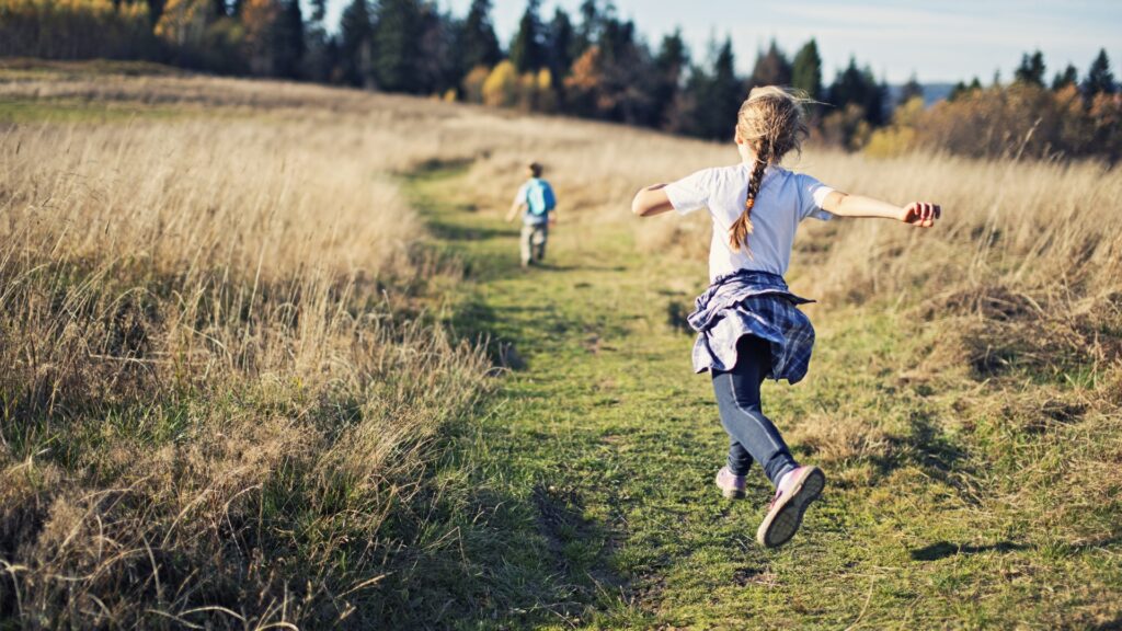 Plan a family outing in the countryside